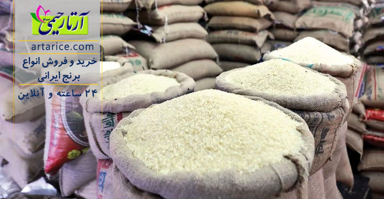 راهنمای خرید برنج عمده برای فروشگاه‌های برنج